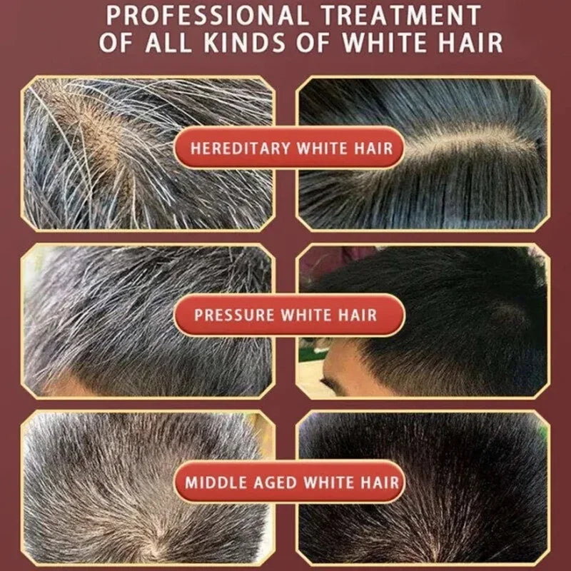 Herbal Hair Dye Shampoo — Natural Color Change